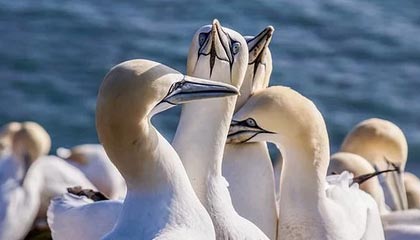 资阳伴游,定制QQ:3494206190微信:act1322